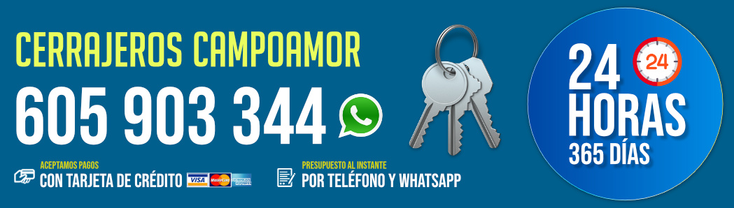 Cerrajeros Campoamor