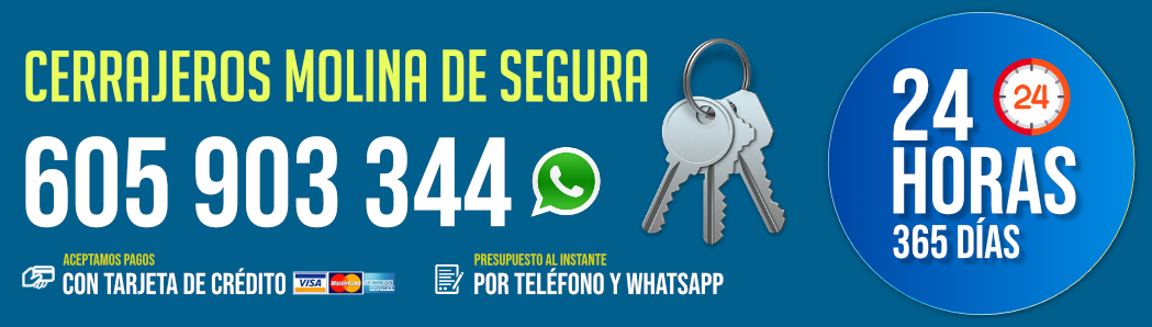 Cerrajeros Molina de Segura Cerrajeros Molina de Segura